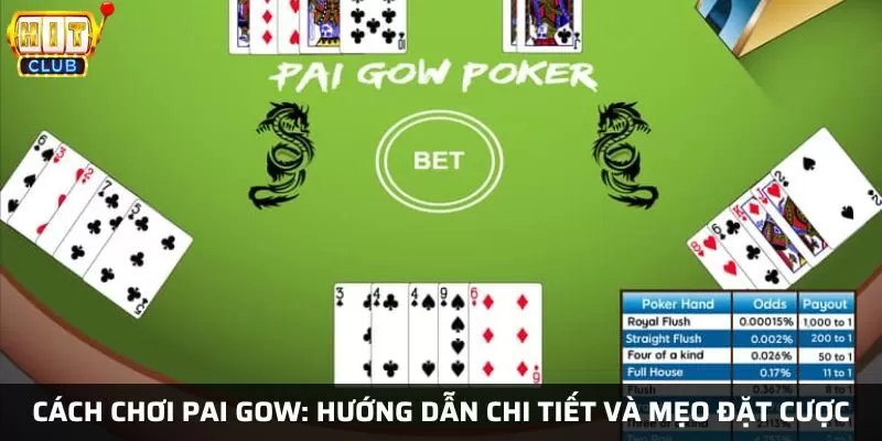 Cách chơi Pai Gow tại Hit Club: hướng dẫn chi tiết và mẹo đặt cược