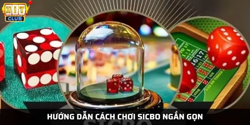 Cách chơi sicbo chi tiết đối với người chưa biết