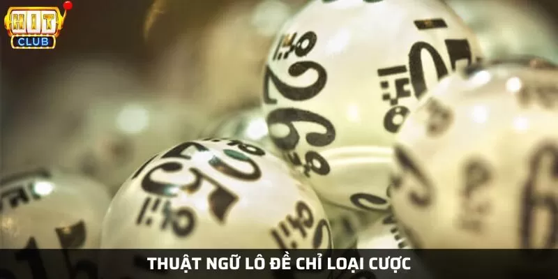 Thuật ngữ chỉ các loại cược lô đề