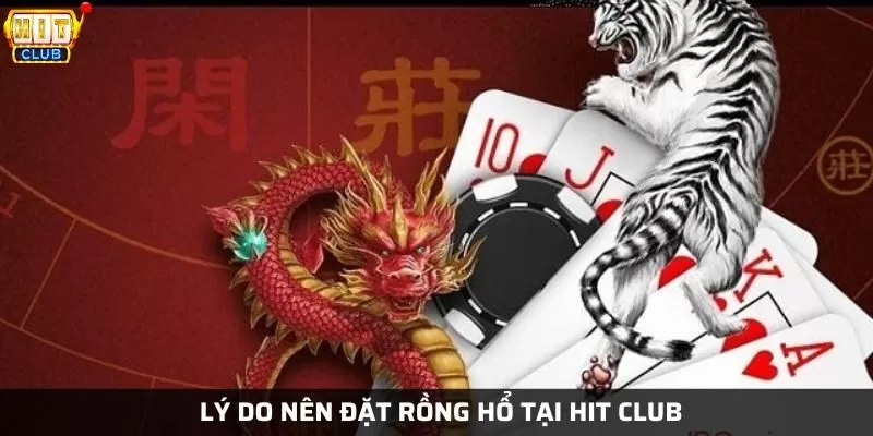 Những lý do nên trải nghiệm rồng hổ tại cổng game