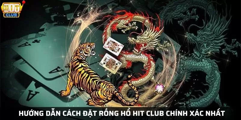 Hướng dẫn cách đặt rồng hổ Hit Club chính xác nhất