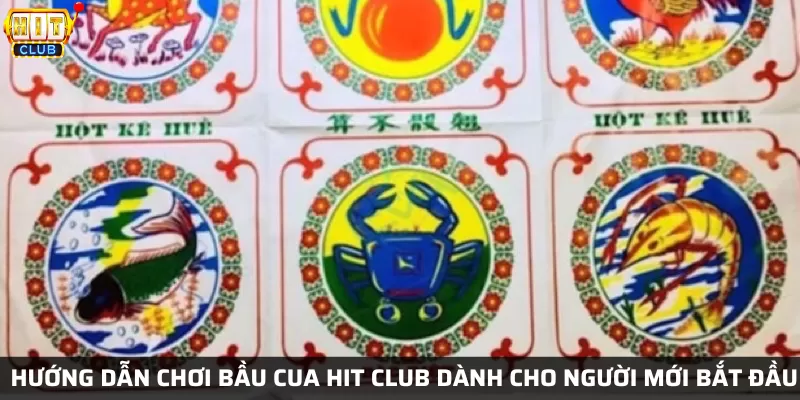 Hướng dẫn chơi bầu cua Hit Club dành cho người mới bắt đầu