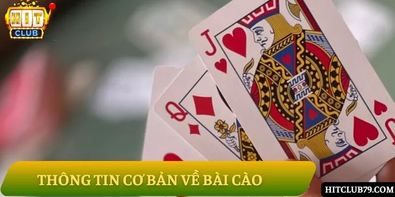 Giới thiệu thông tin về bài cào