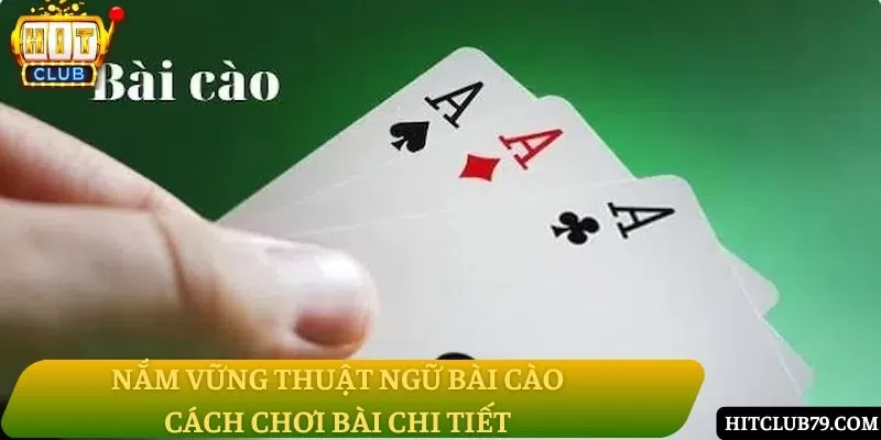 Nắm vững thuật ngữ bài cào & Cách chơi bài chi tiết