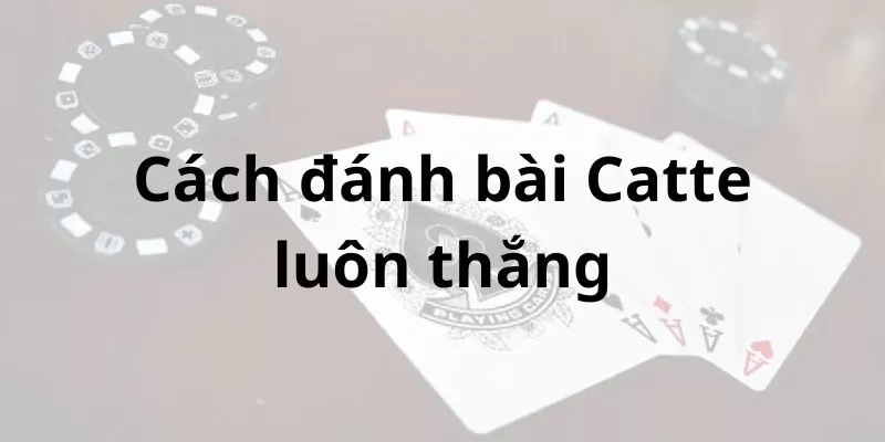 Học nhanh cách đánh bài Catte luôn thắng từ cao thủ