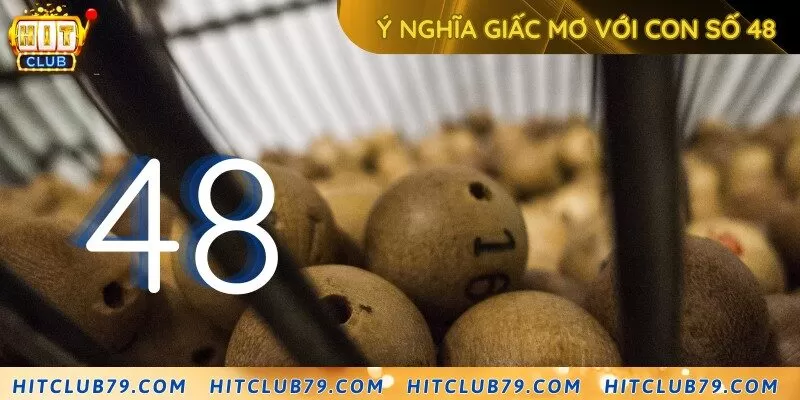 Giải mã giấc mơ khi thấy 48 xuất hiện