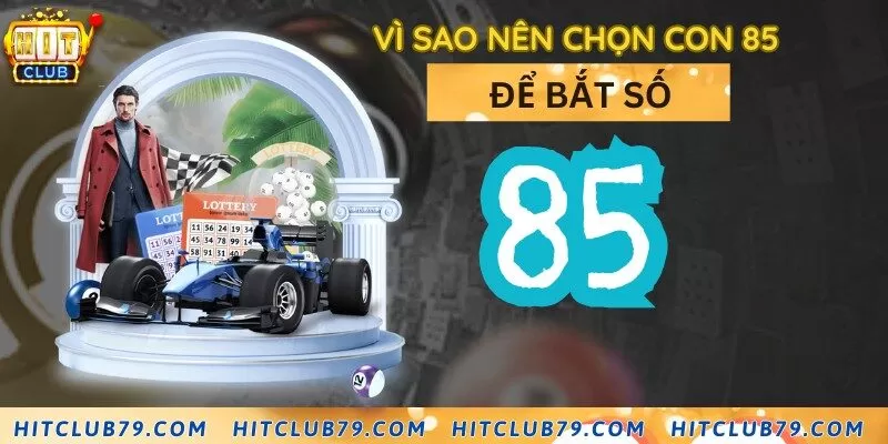 Lý do nên biết đề về 85 nên đánh con gì hôm sau